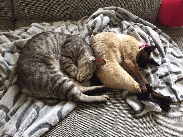 Happy & Sally