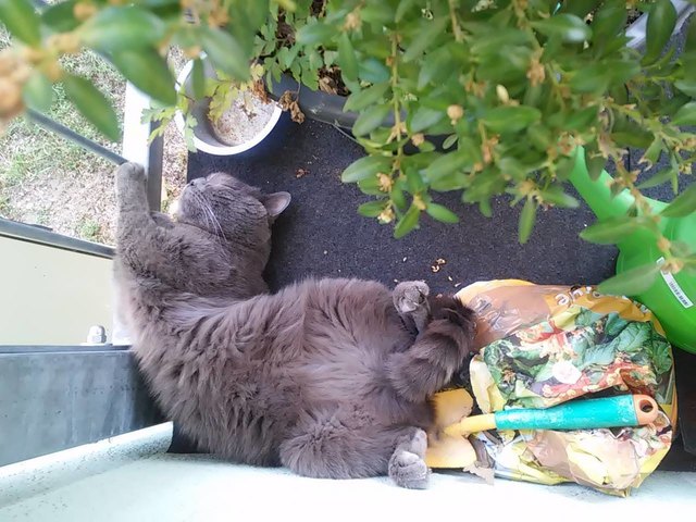 Chico hat immer Platz:)