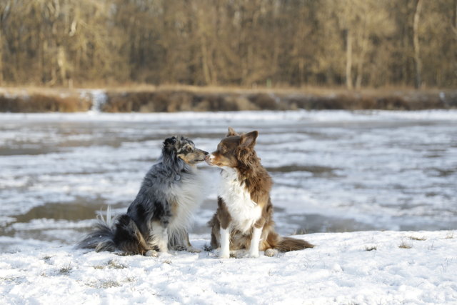 Scout und Summer "guckst du"