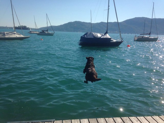 Janosch rockt den Attersee!