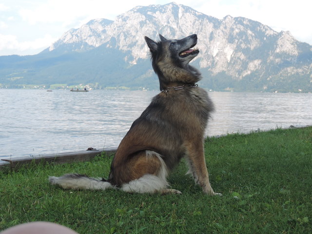 liane.obermaier