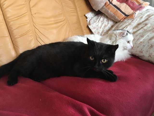 Lucky&Jimmy