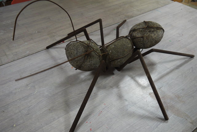 Ein echtes Prachtexemplar von Ameise.