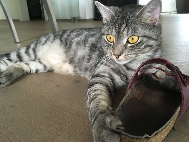 Diego beim Aufwachen