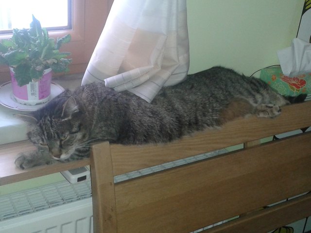 Platz genug! :-)