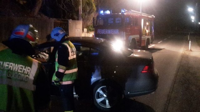 Foto: Freiwillige Feuerwehr Maria Gugging