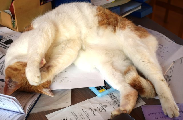 Phf! Ewig diese Büroarbeit!