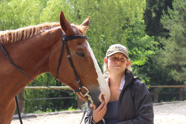 Mein Pferd Merwin und ich