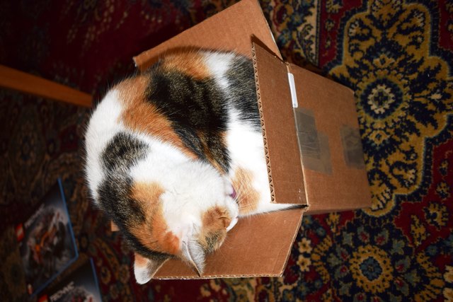 Platz ist in der kleinsten Hütte! sagt sich Marie.