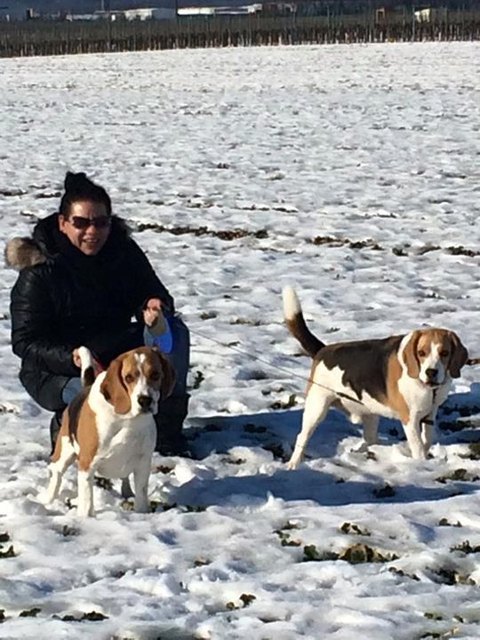 Meine Buben Elvis & Snoopy