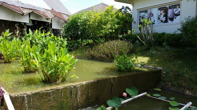 Wassergarten