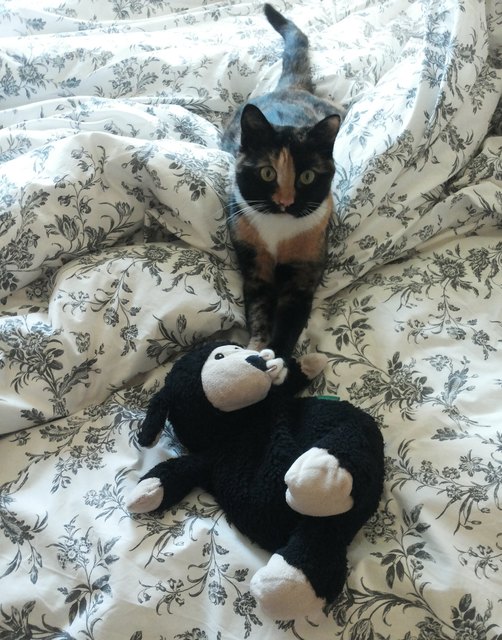 Pippilotta und ihr Schaf