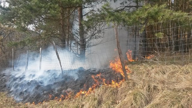 Foto: Florian Stierschneider