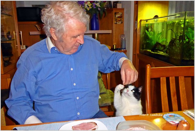 Der Kater ist Weltmeister im Betteln ;)