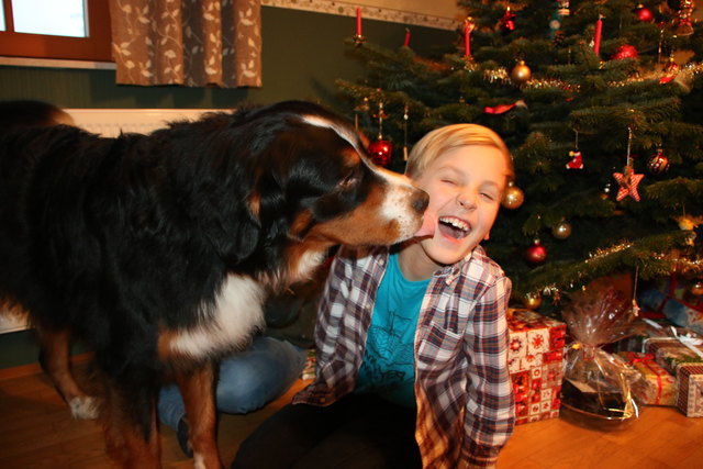 Zu Weihnachten gibt´s ein Küsschen!
