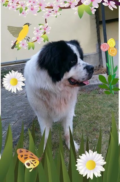 von Anneliese König aus Groß Enzersdorf (per E-Mail am Gewinnspiel teilgenommen)