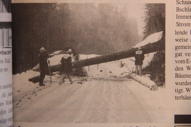 Vorübergehend ging nichts mehr: Der schwere Frühjahrschnee knickte auf der Strecke nach Bschlabs Bäume. | Foto: Archiv