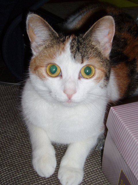 Was Guckst Du !!!!!!!
