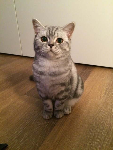 von Anita Ebner (per E-Mail am Gewinnspiel teilgenommen)
