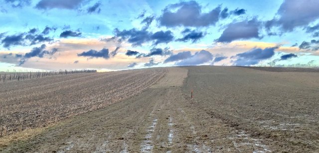 ... und bald wird alles sprießen !