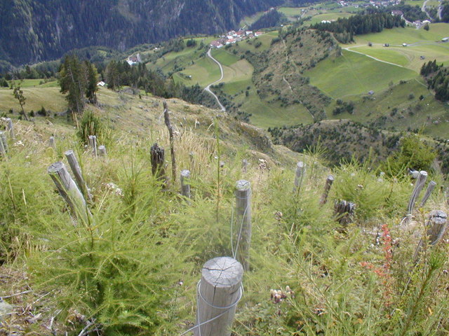 Foto: BFI