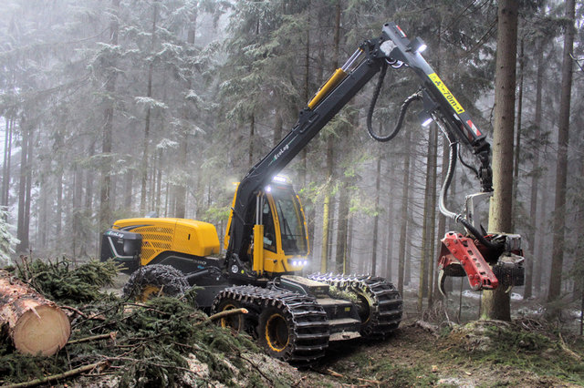 Der Harvester von Peter Konrad ist ein High-Tec-Gerät, das den Waldarbeitern viel Sicherheit bietet. | Foto: Cescutti