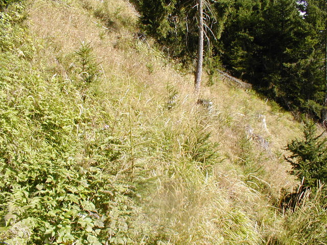 Foto: BFI