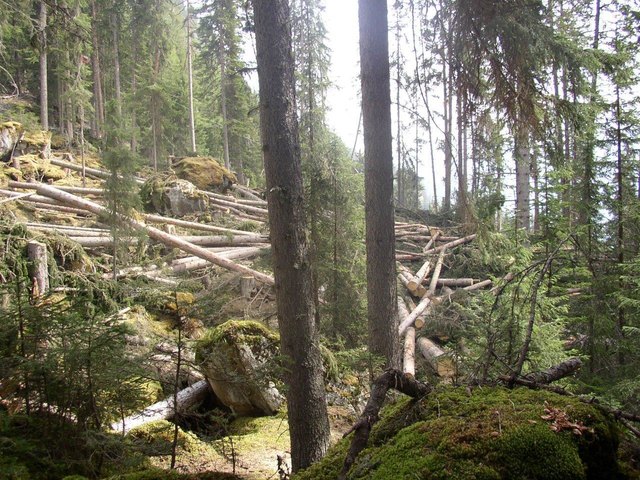 Foto: BFI