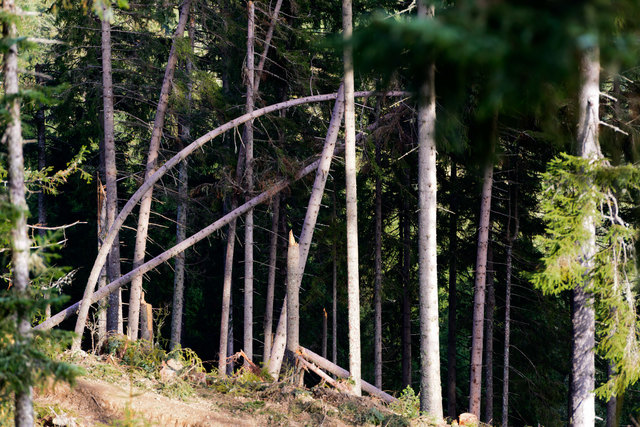 Foto: Hannes Üblagger