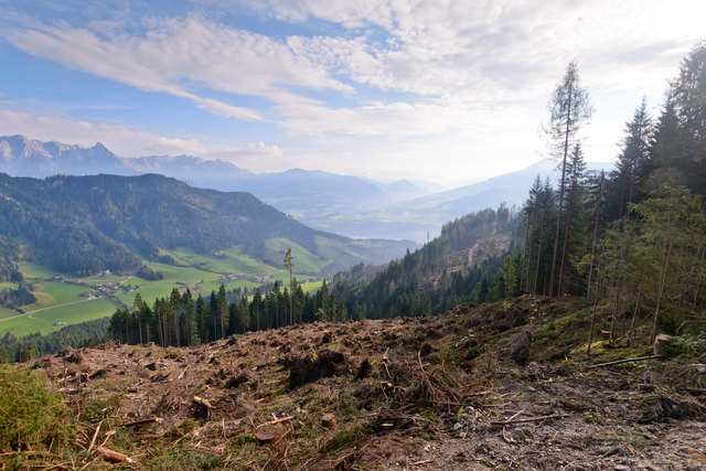 Die kahlen Flächen sind anfälliger auf Erosion und bieten Wassermassen bessere Angriffsflächen. | Foto: Hannes Üblagger