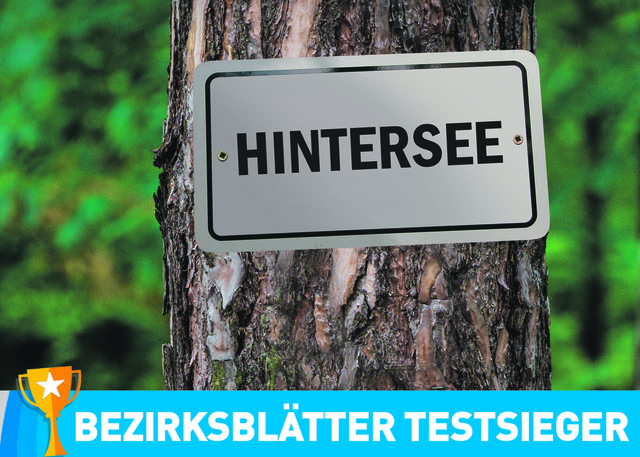 Mit 8,94 Hektar Fläche pro Einwohner gewinnt Hintersee diesen Wald-Test ganz klar. Immerhin ist das 4,78 Mal so viel wie St. Gilgen auf Platz zwei bietet, 28,66 Mal so viel wie der Flachgau-Schnitt und 1.118 Mal so viel wie in Oberndorf. | Foto: Pixabay/Montage: BB