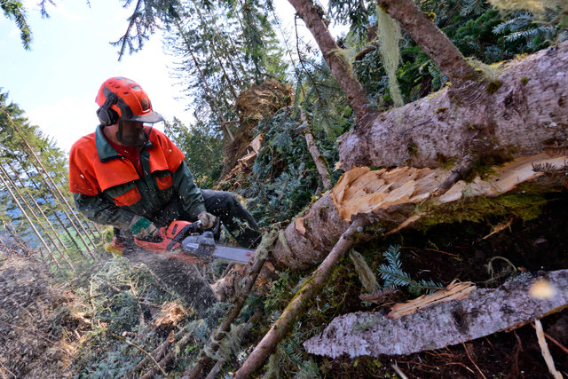 Foto: ÖBf AG/Wolfgang Simlinger