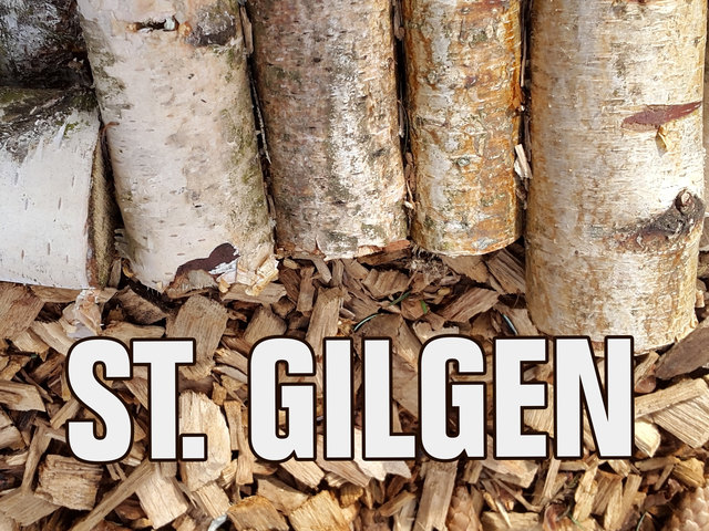 Auf dem zweiten Platz landet St. Gilgen mit 1,87 Hektar Wald pro Bürger. Doch auch das sind immerhin noch 18.700 Quadratmeter – etwa so viel Fläche wie der Salzburger Ikea einnimmt. Flachgauweit liegt die Gemeinde zudem mit 7.198 Hektar Wald auf Platz eins. | Foto: Pixabay/Montage: BB