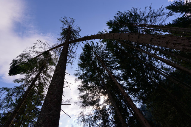 Foto: Hannes Üblagger