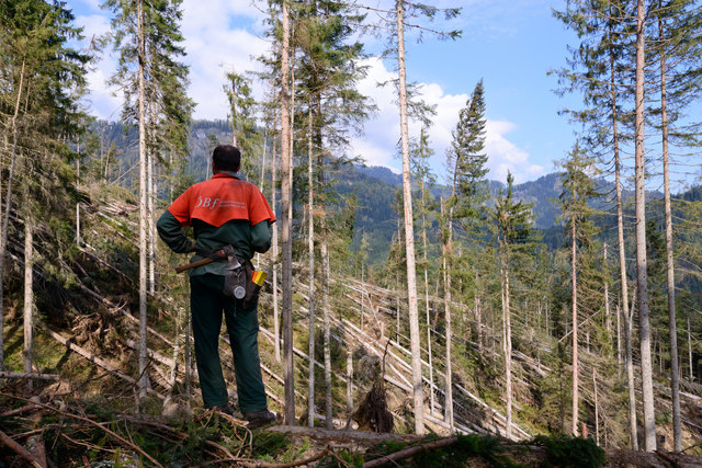 Foto: ÖBf AG/Wolfgang Simlinger