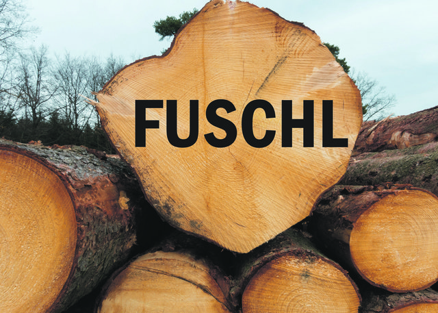Eher für ihren See als für Wälder ist die Gemeinde Fuschl bekannt. Dennoch schafft sie es locker in die Top-Sechs, wenn es um das Thema Wald geht. Mit 0,972 Hektar Fläche pro Person kratzt der Ort an der 10.000-Quadratmeter-Marke. | Foto: Pixabay/Montage: BB