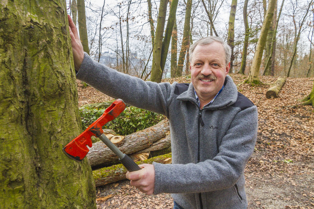 Josef Brawisch sorgt dafür, dass in den Stadtwäldern regelmäßig alle Waldpflegearbeiten durchgeführt werden. | Foto: BB