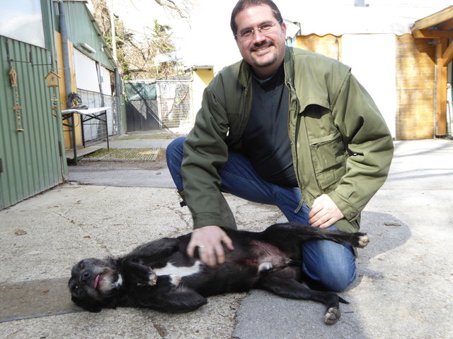 "Napoleon" ist trotz schwerem Schicksal eine Seele von Hund.