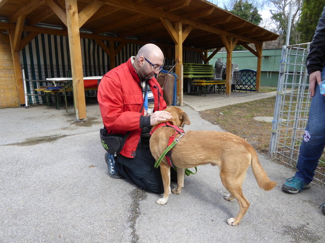 Hansi kann auch ganz brav.