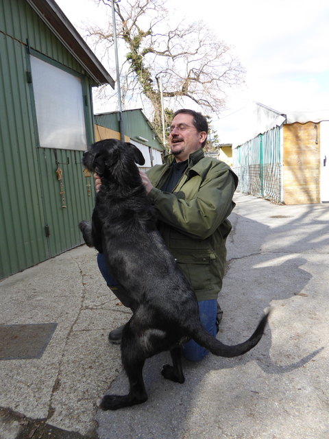 Napoleon freut sich.