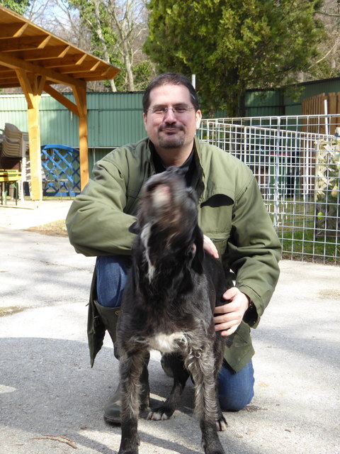 Napoleon freut sich.