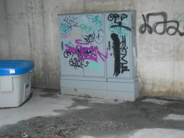 Auch der E-Kasten bei der Station wurde nicht verschont!