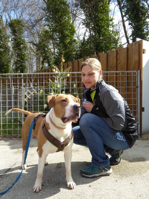 Gustav will Leckerlie.