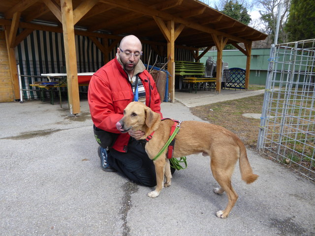 Hansi kann auch ganz brav.