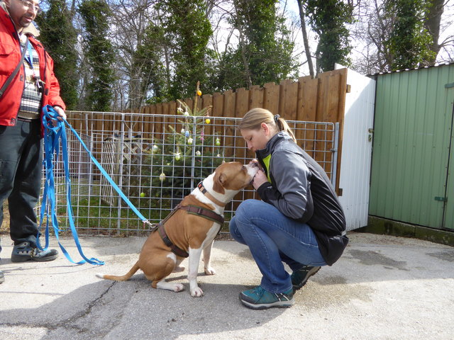 Gustav will Leckerlie.