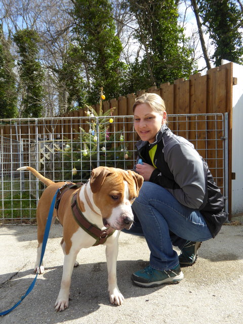 Gustav will Leckerlie.