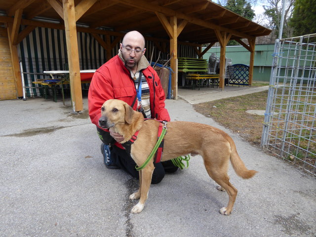 Hansi kann auch ganz brav.