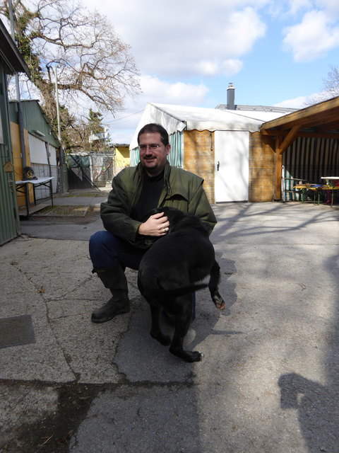 Napoleon freut sich.