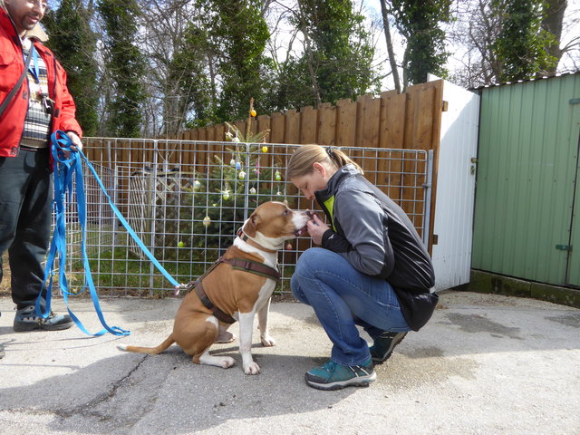 Gustav will Leckerlie.