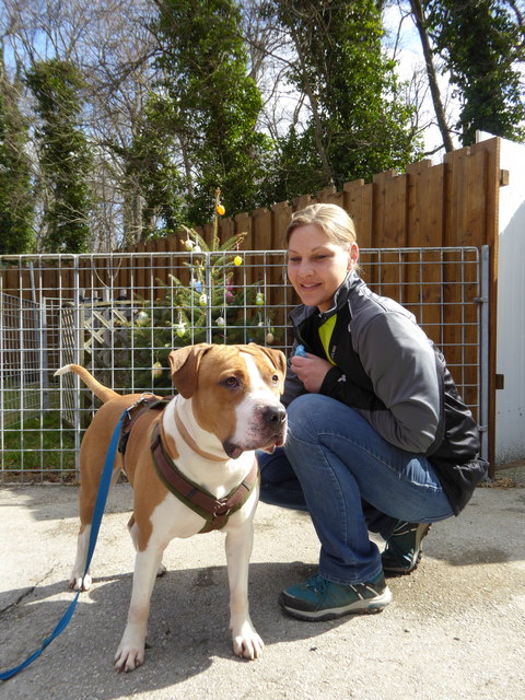 Gustav will Leckerlie.